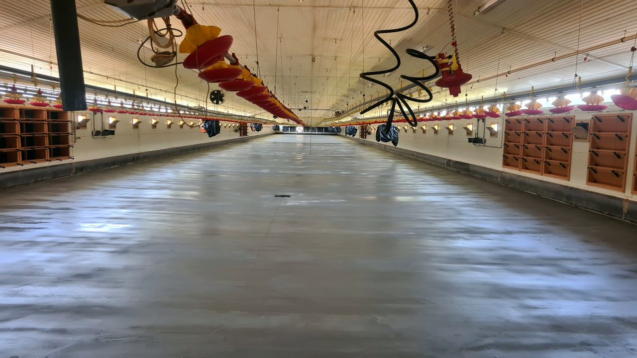 Állattartó telep épületeinek felújítása mosható bevonattal